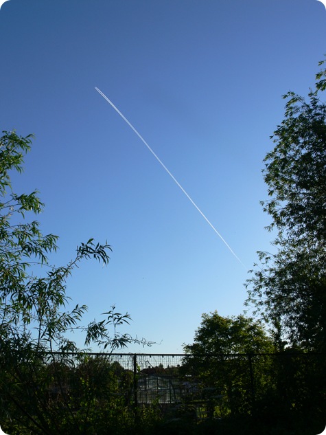 P1280889
