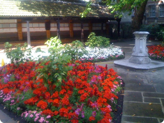 IMG_4074 IMG_4074
