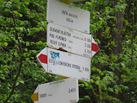 IMG_3651.JPG