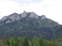 IMG_3680.JPG