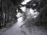 foto2010-01-02T12:20:56-000087.JPG