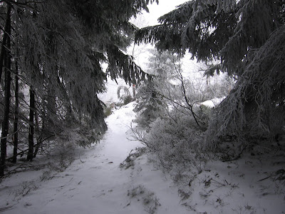 foto2010-01-02T12:20:56-000087.JPG