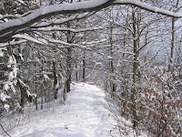 IMG_3045.JPG