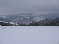 IMG_3079.JPG