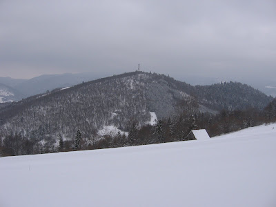 IMG_3088.JPG