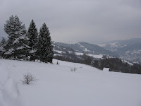 IMG_3096.JPG