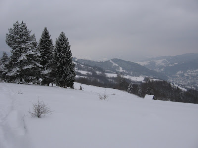 IMG_3096.JPG
