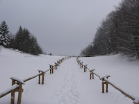 IMG_2881.JPG