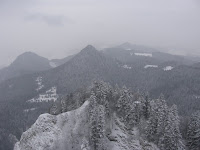IMG_2936.JPG