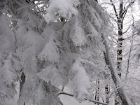 IMG_2947.JPG