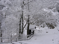IMG_2948.JPG