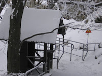 IMG_2949.JPG
