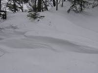 IMG_2972.JPG