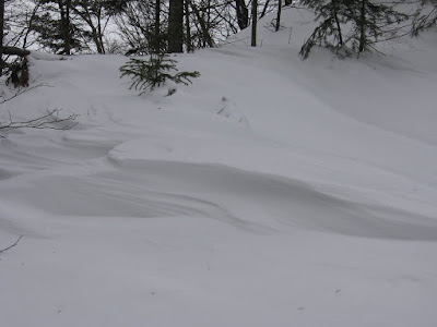 IMG_2972.JPG