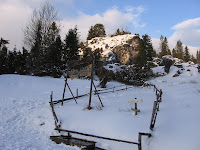 IMG_3510.JPG
