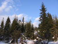 IMG_3516.JPG