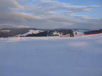 IMG_3530.JPG