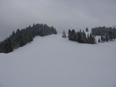 IMG_3156.JPG
