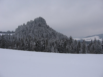 IMG_3185.JPG