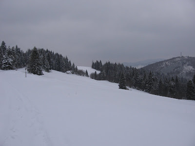 IMG_3187.JPG