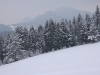 IMG_3192.JPG