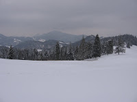 IMG_3215.JPG