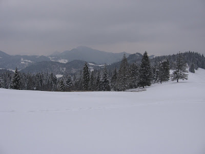 IMG_3215.JPG
