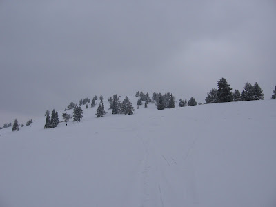 IMG_3234.JPG