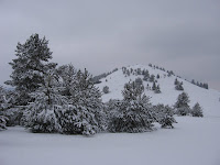 IMG_3262.JPG