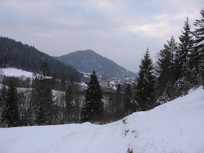 IMG_3310.JPG