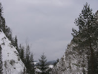 IMG_3343.JPG
