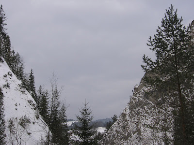 IMG_3343.JPG