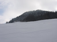 IMG_3367.JPG