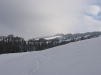 IMG_3366.JPG