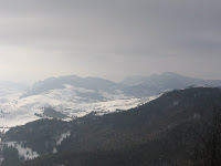 IMG_3416.JPG