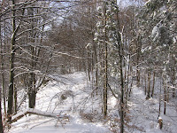 IMG_3459.JPG
