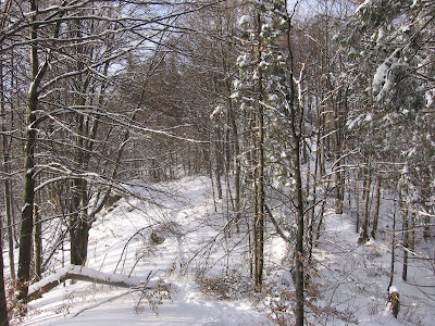 IMG_3459.JPG