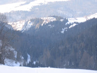 IMG_3483.JPG