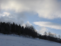 IMG_3487.JPG