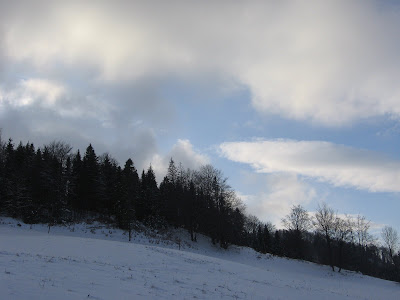 IMG_3487.JPG