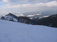IMG_3488.JPG