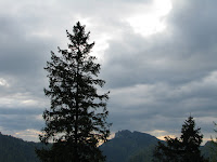 IMG_2902.JPG
