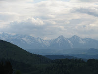 IMG_2921.JPG