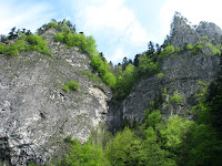 IMG_2734.JPG