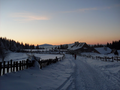 sdc11179.jpg