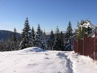 img_9522.jpg