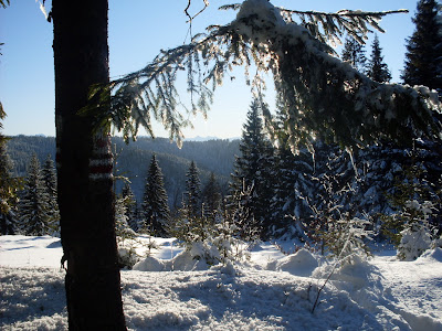 sdc11158.jpg