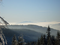 sdc11163.jpg
