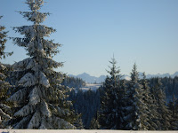 sdc11168.jpg