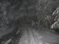 img_9563.jpg